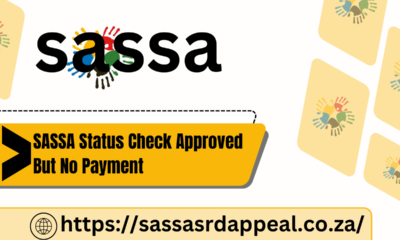 SASSA Status Check Approved But No Payment